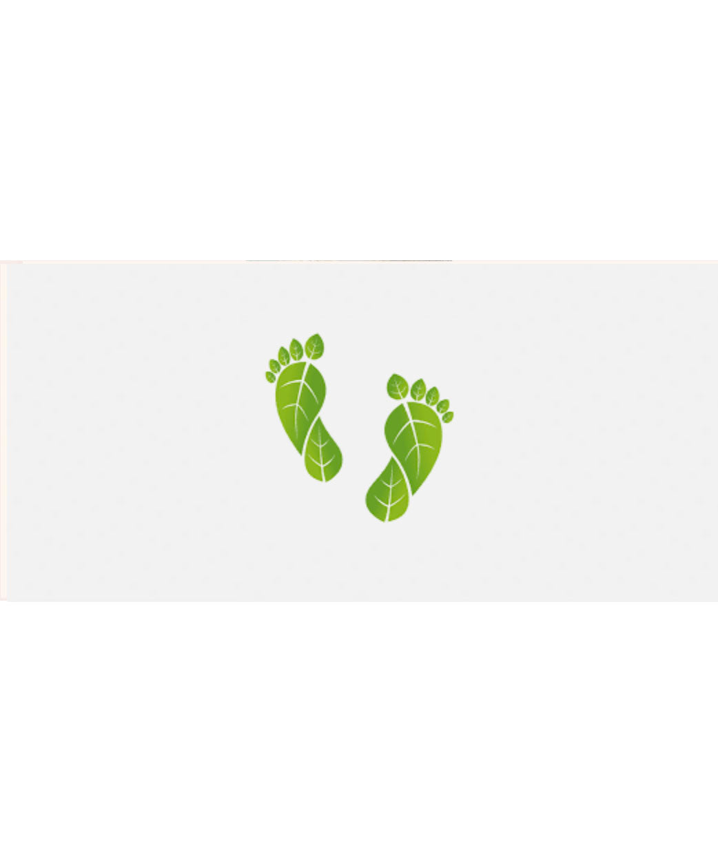 Ways to Reduce your Carbon Footprint | Sustainable Blog Edition #15